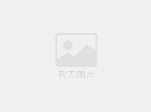 體育球場圍網(wǎng)的價格和選擇需綜合考慮多方面因素，以下是具體分析及建議：