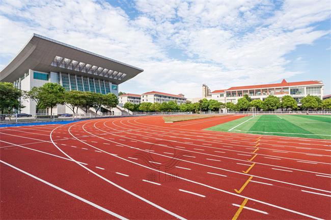 從設計到施工，全塑型SPU跑道的全方位解決方案